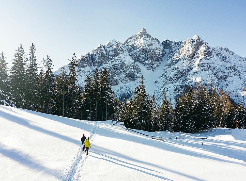 Zwei Personen wandern unter klarem Himmel durch verschneite Felder zu einem Kiefernwald mit schneebedeckten Bergen im Hintergrund.