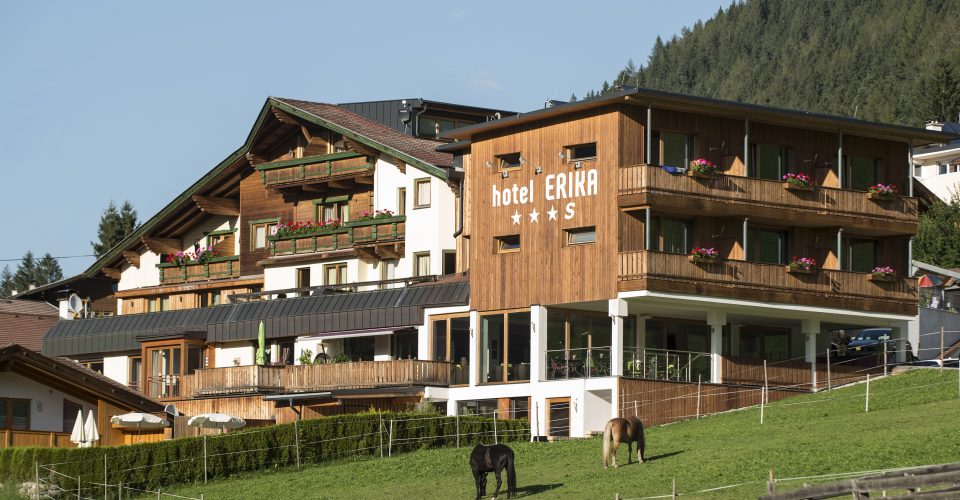 hotel_erika_9534