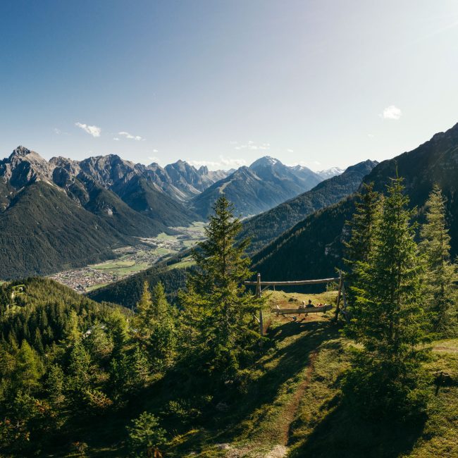 Pensiero ambientale